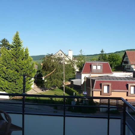 Appartamento Le Parc Du Marlenberg Marlenheim Esterno foto